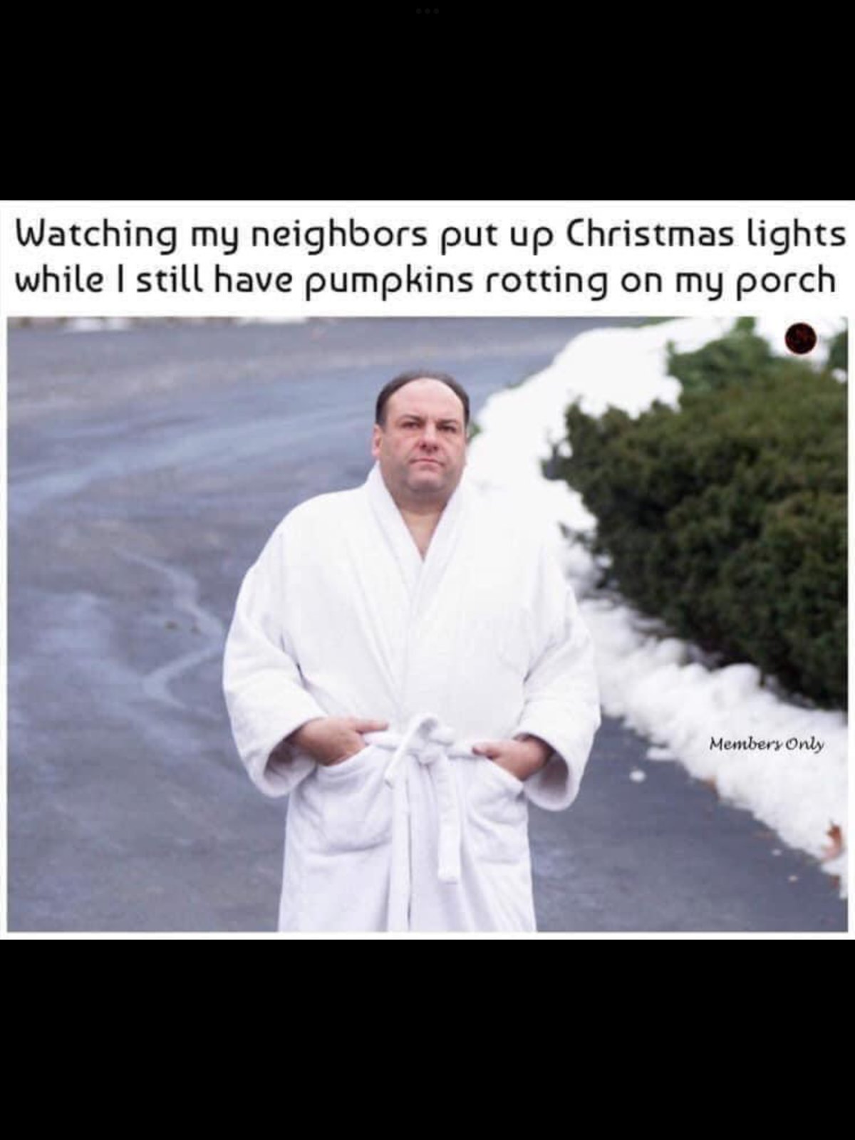 IMG_7543.png