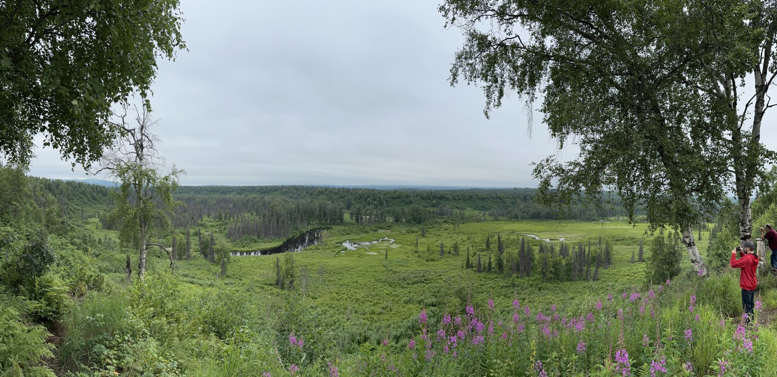 IMG_7686.jpg
