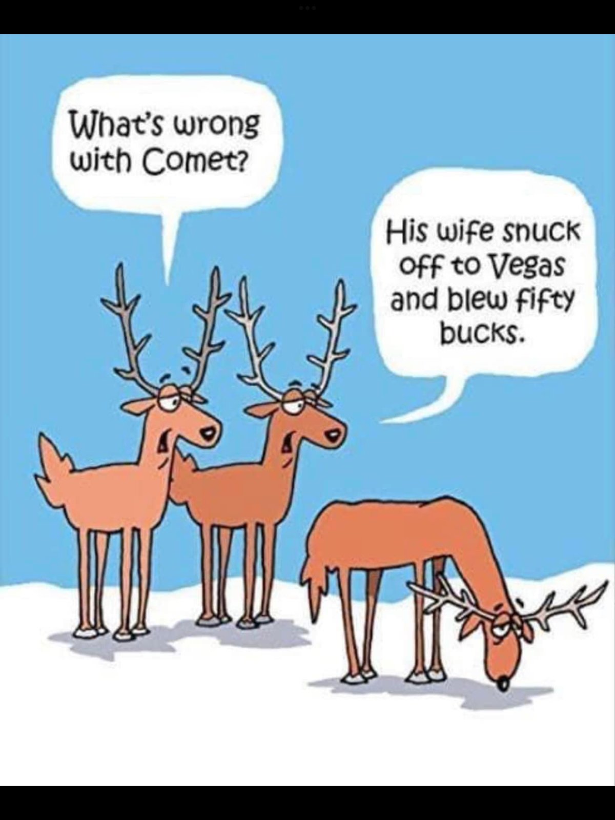IMG_7691.png