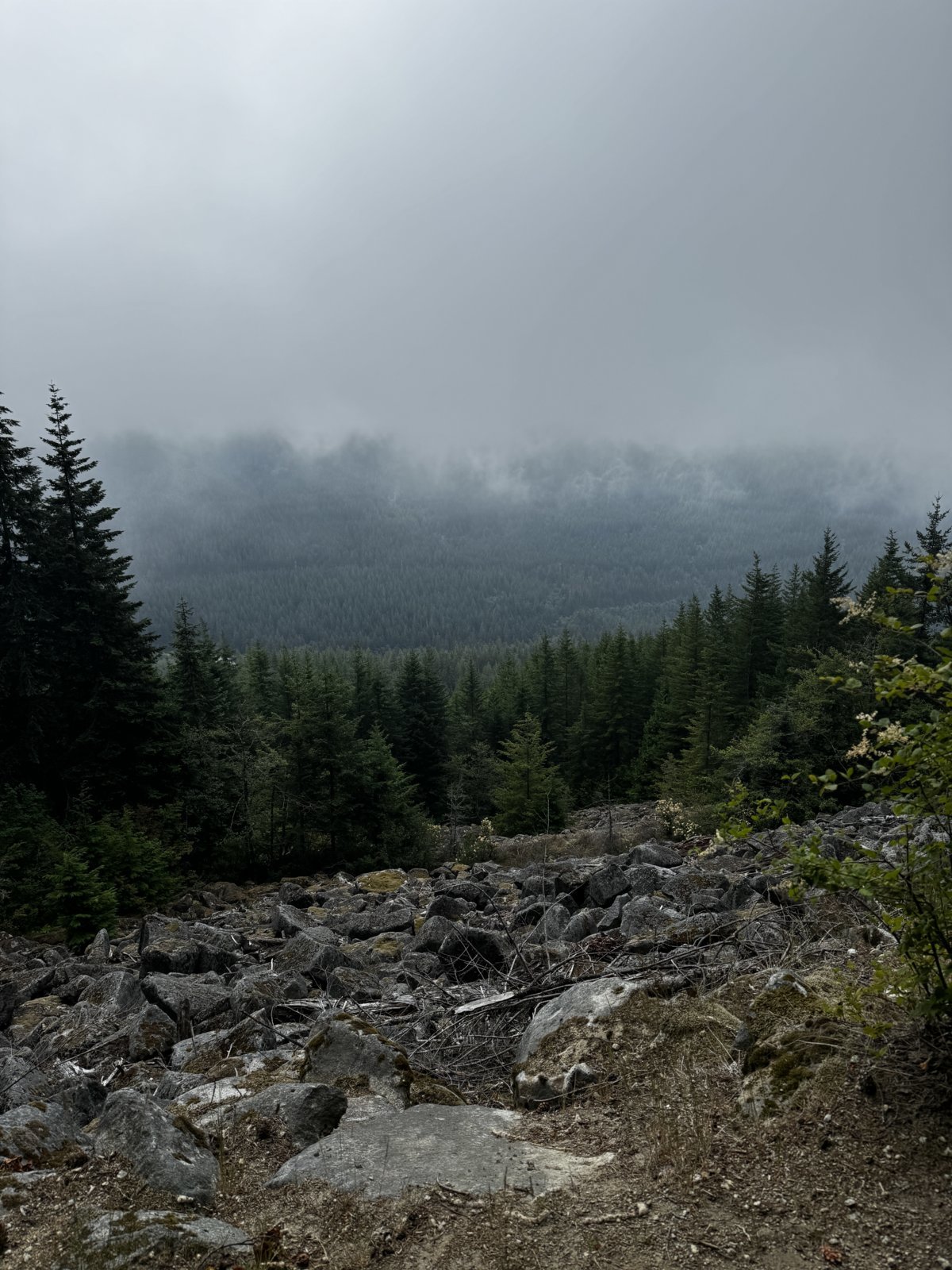 IMG_7700.jpg