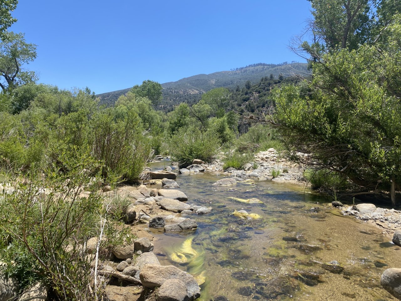 IMG_7744.jpg