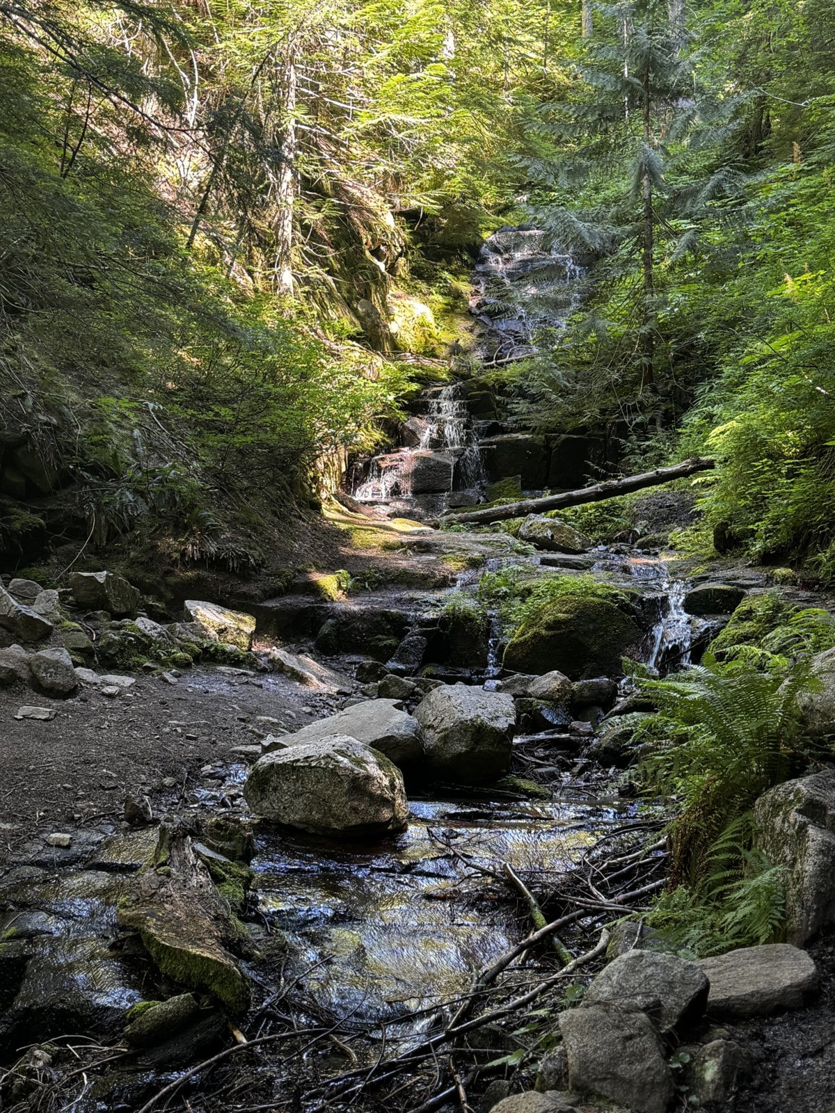 IMG_7750.jpg