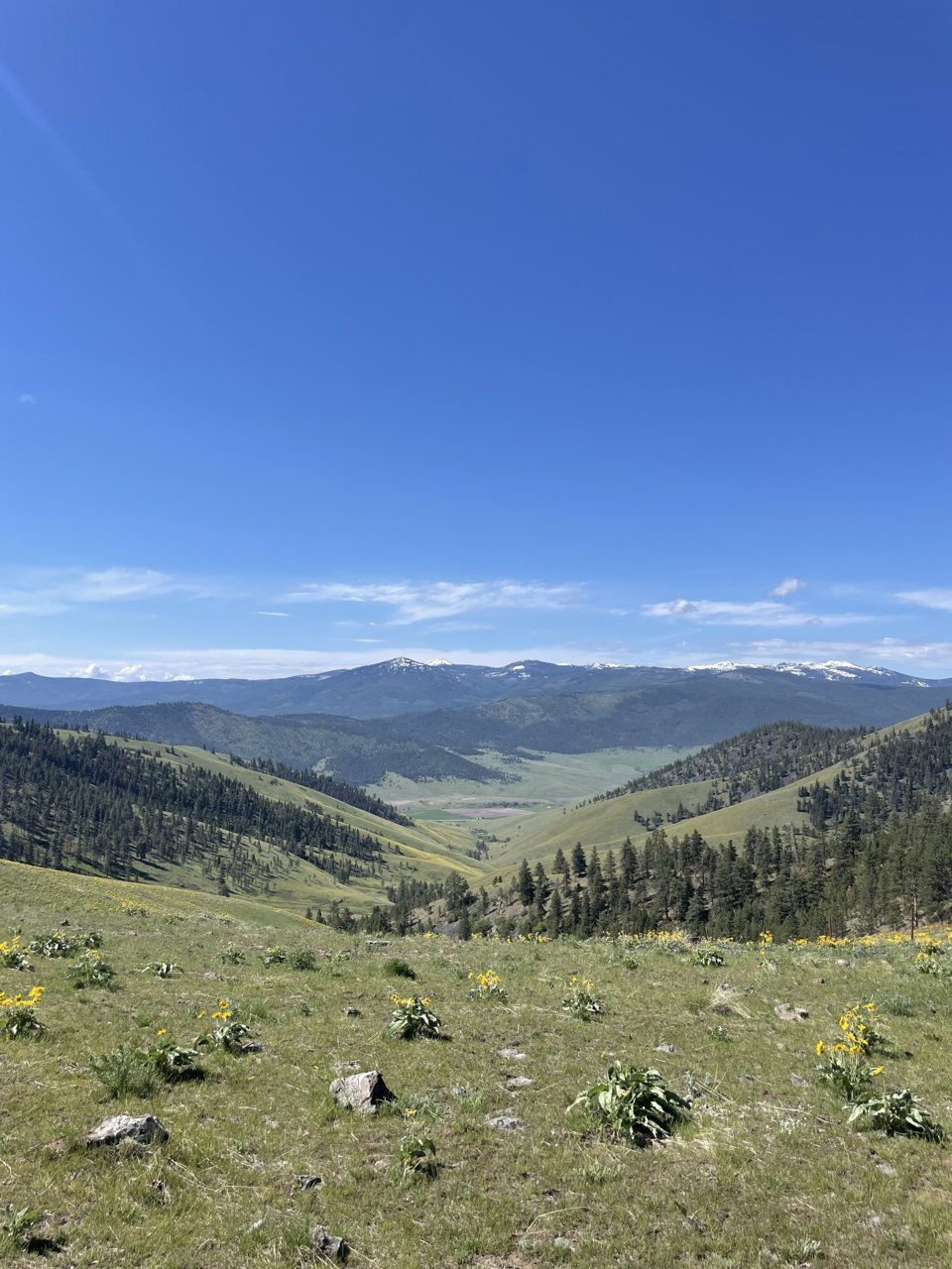IMG_7795.jpg