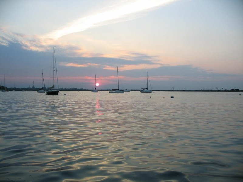 IMG_7849.jpg