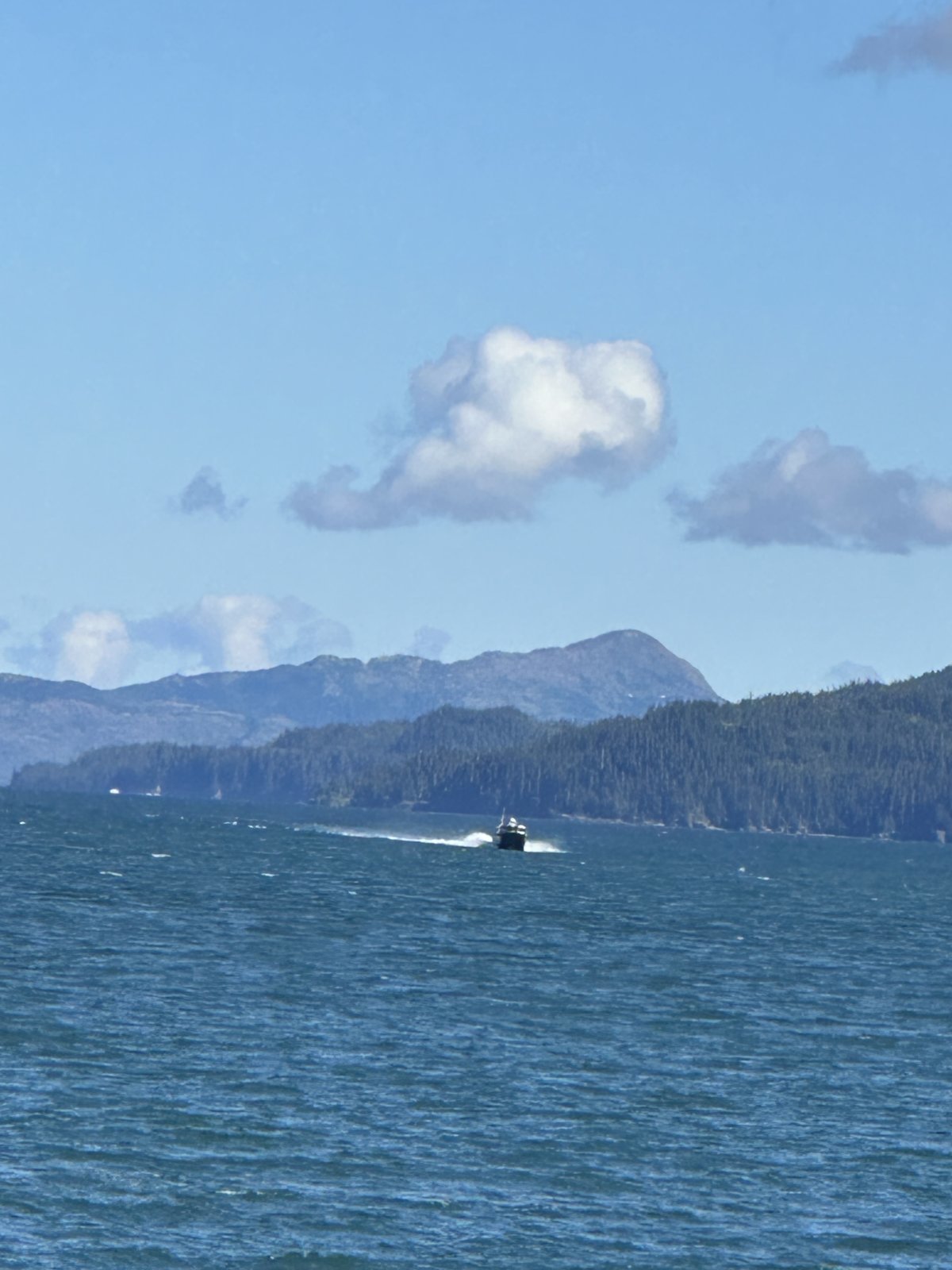 IMG_7855.jpg