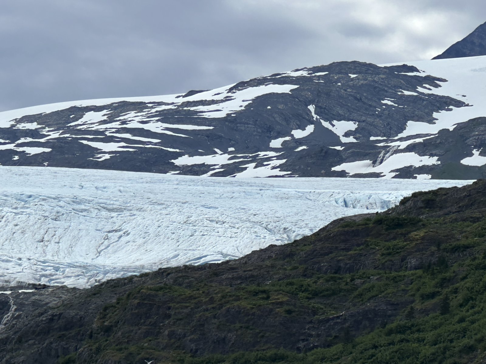 IMG_7859.jpg