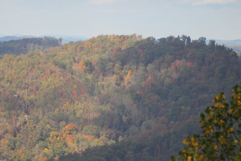 IMG_7877.jpg