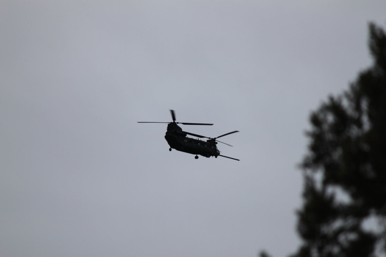 IMG_7885.jpg