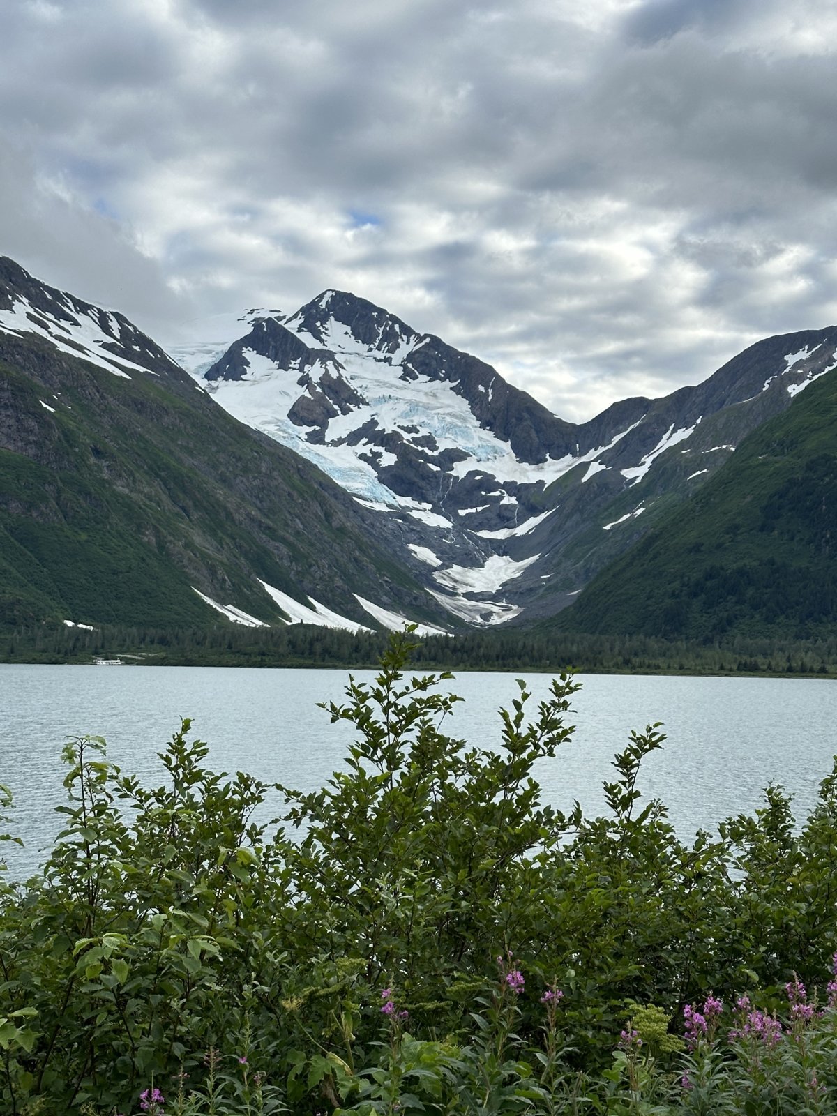 IMG_7886.jpg
