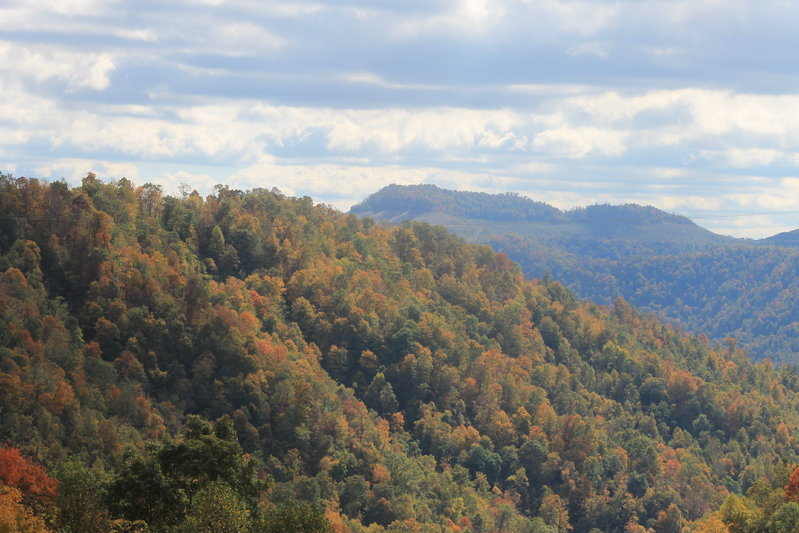 IMG_7926.jpg
