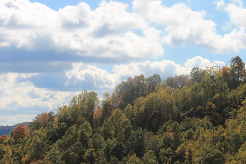 IMG_7928.jpg