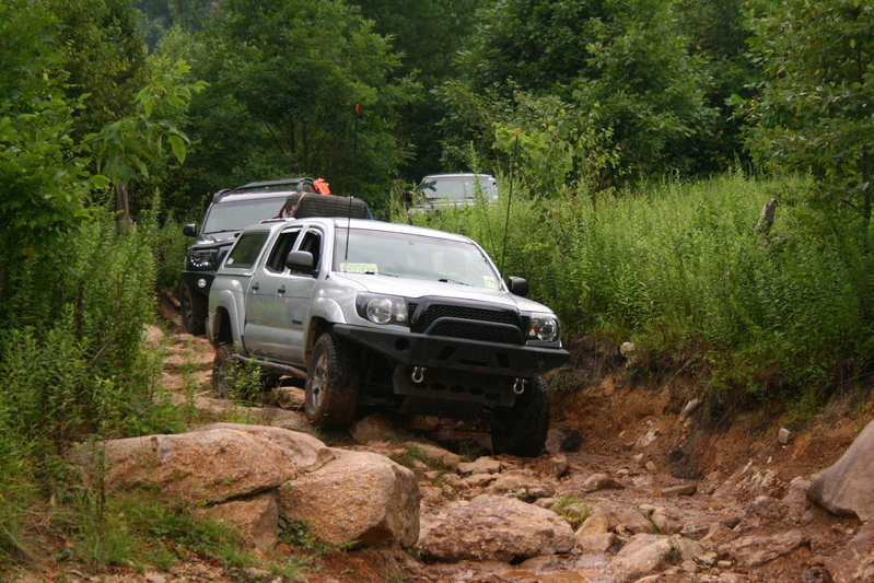 IMG_7954.jpg