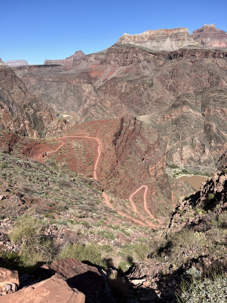IMG_7974.jpg