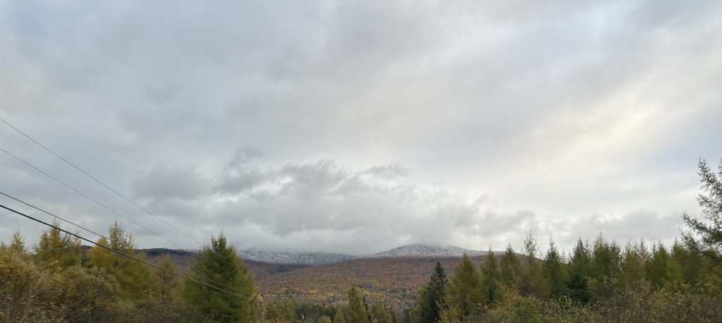 IMG_8004.jpg