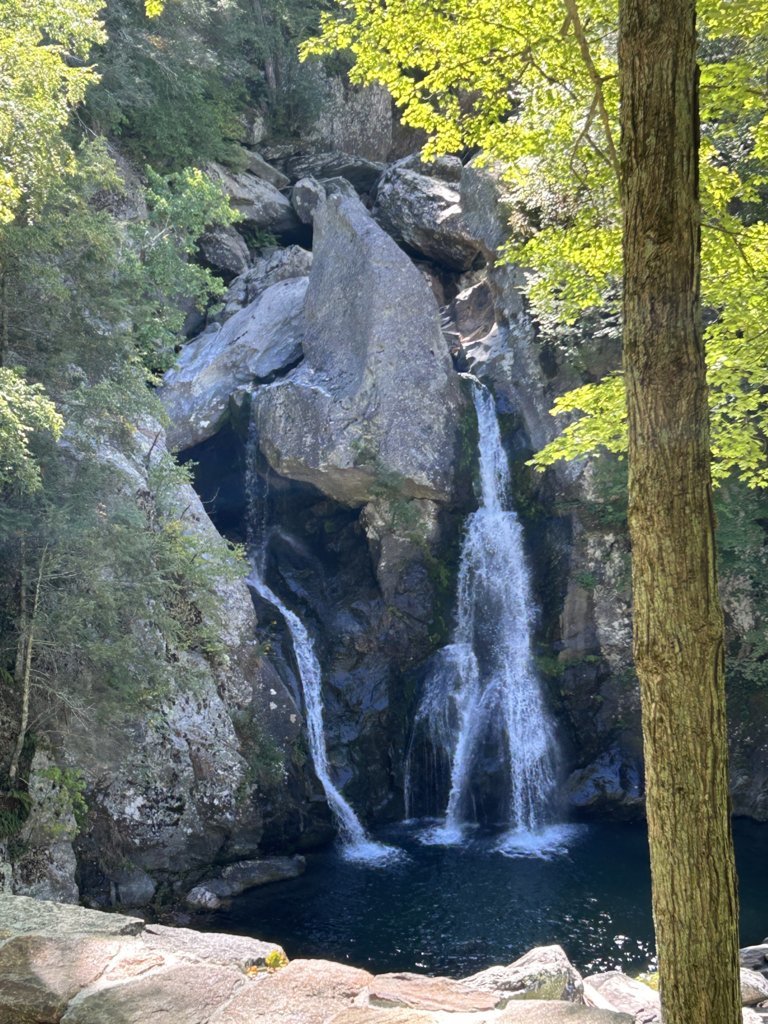 IMG_8024.jpg