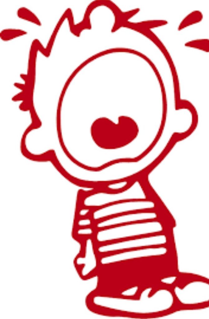 IMG_8068.PNG.jpg