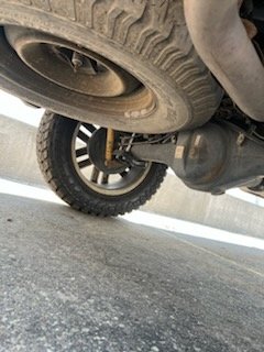 IMG_8107_1723069596207.jpg