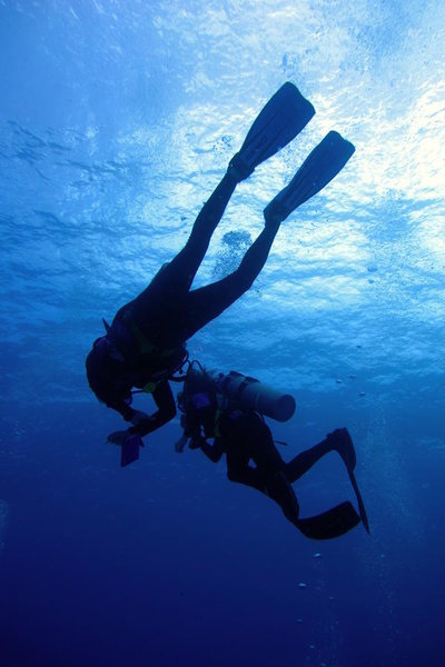 IMG_8116.jpg
