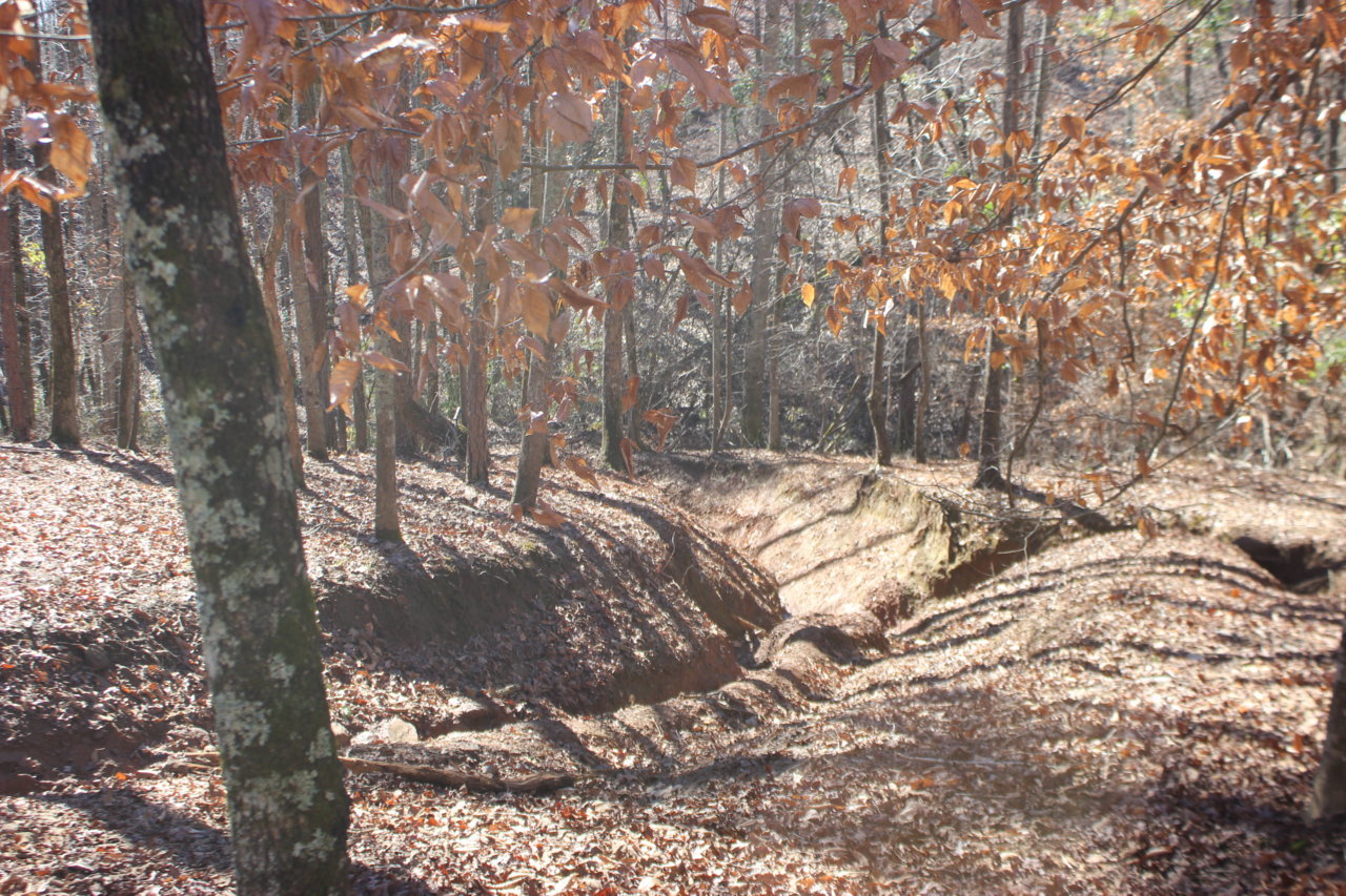 IMG_8173.jpg