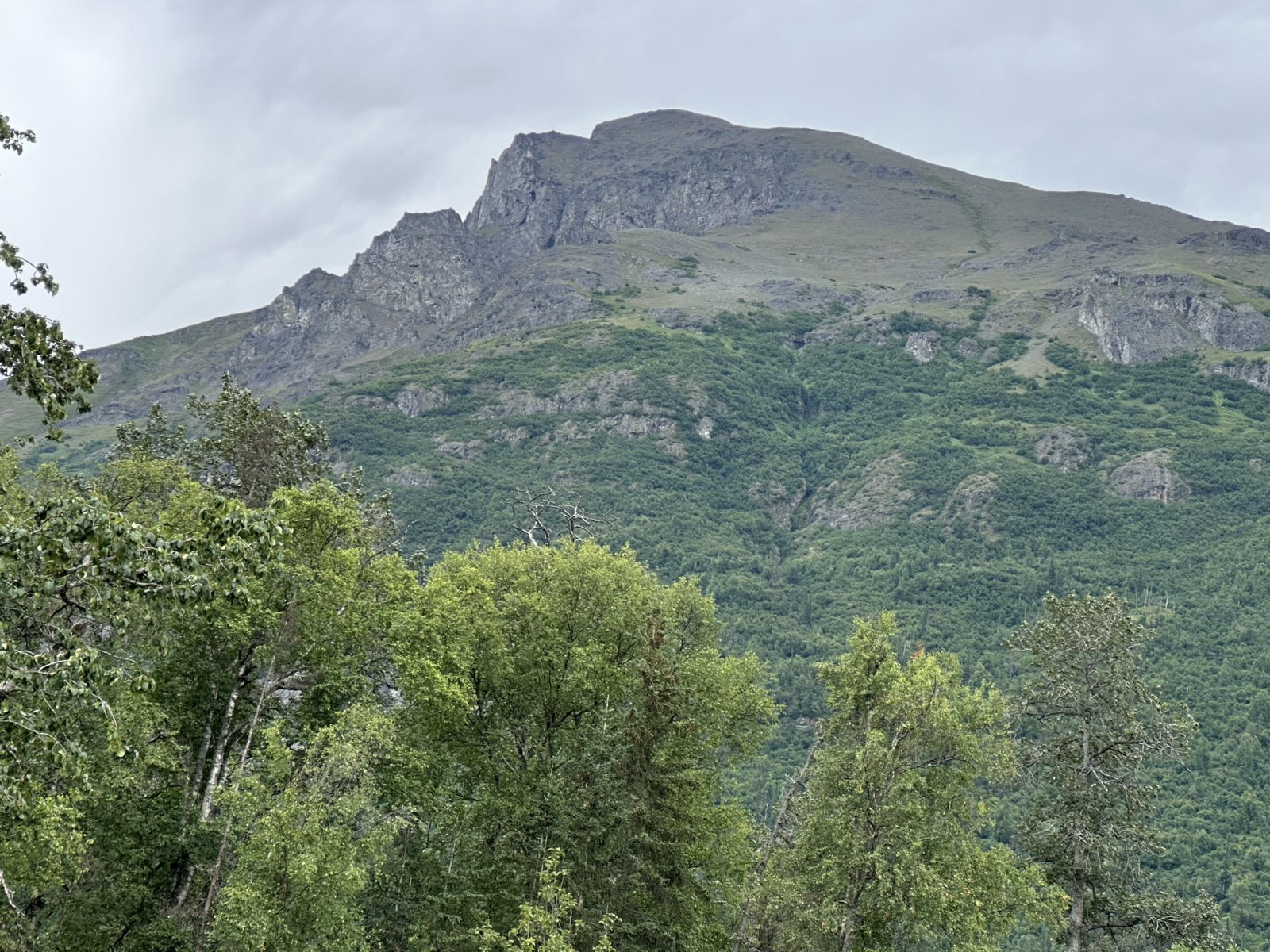 IMG_8189.jpg