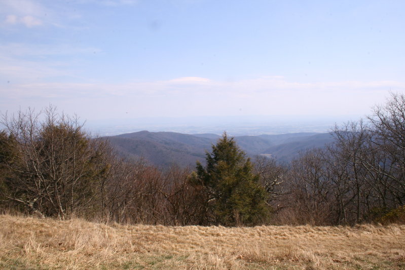 IMG_8260.jpg