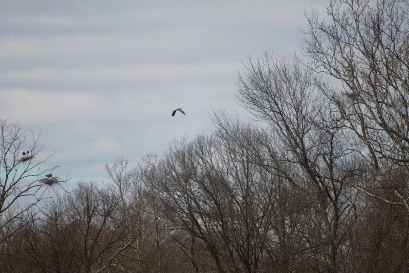 IMG_8263.jpg