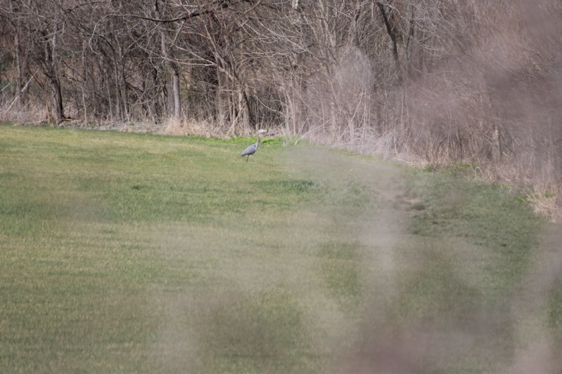 IMG_8269.jpg