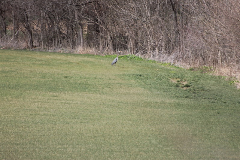 IMG_8270.jpg