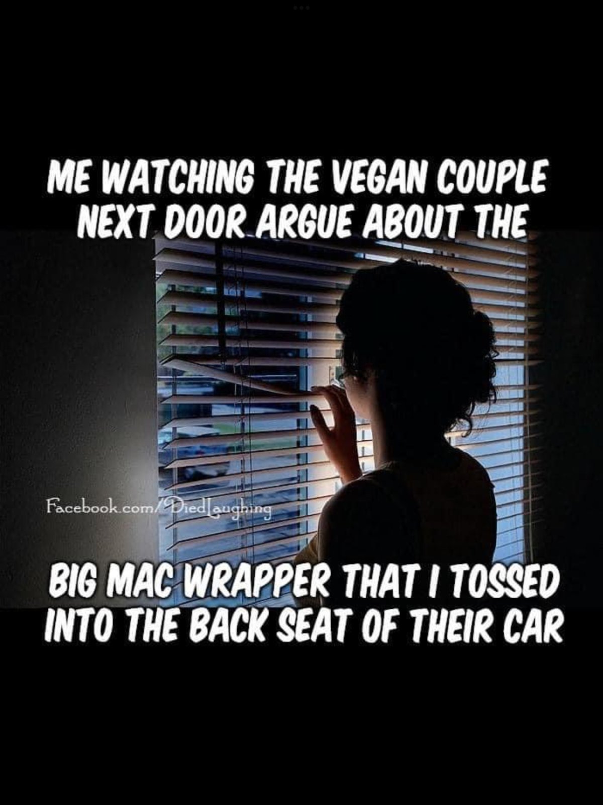 IMG_8281.png