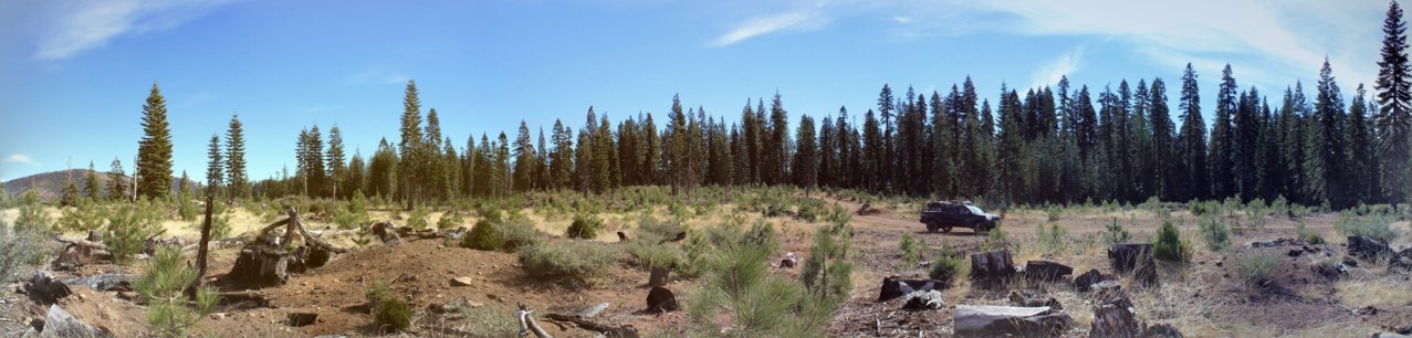 IMG_8334-PANO.jpg