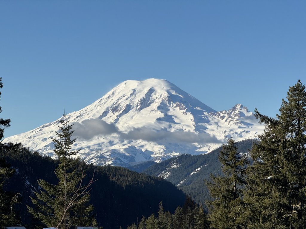 IMG_8353.jpg