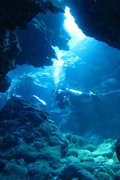 IMG_8378.jpg