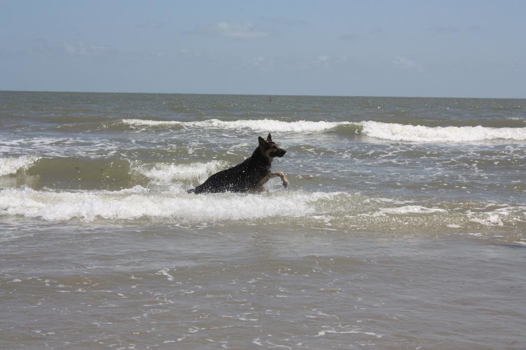 IMG_8392_7418ef9d8ee882debd5659d4f1f6a310ff62a2d6.jpg
