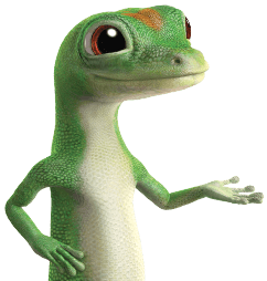 IMG_8434.png