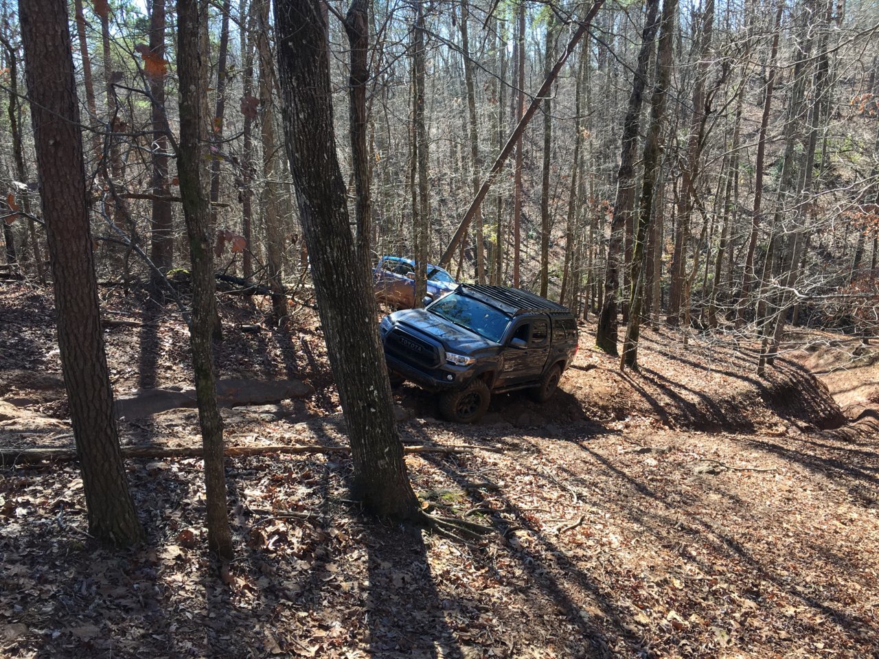 IMG_8511.jpg