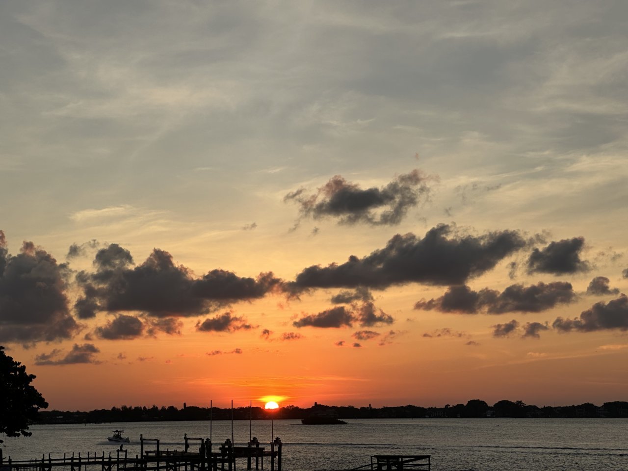 IMG_8544.jpg