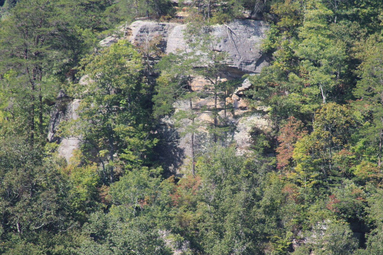 IMG_8548.jpg