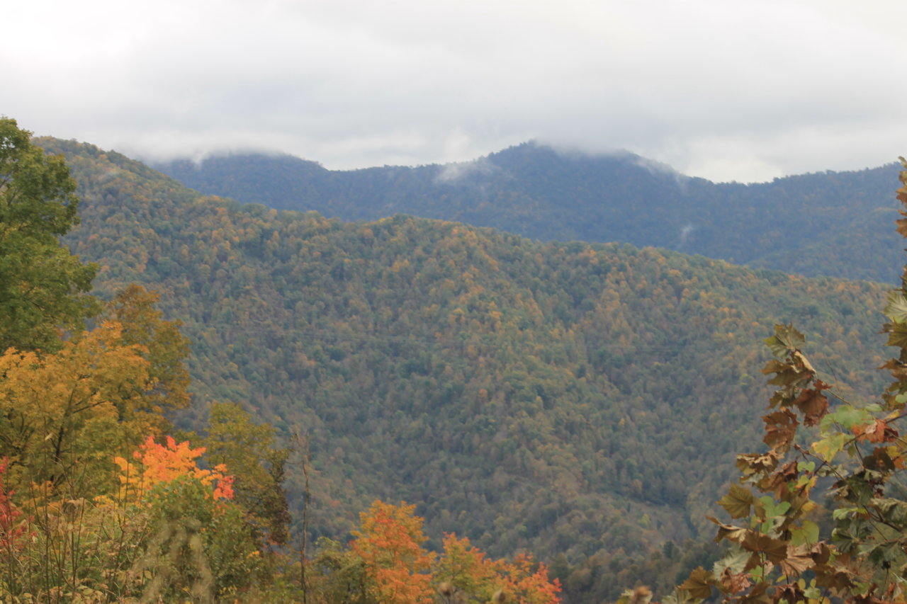 IMG_8606.jpg
