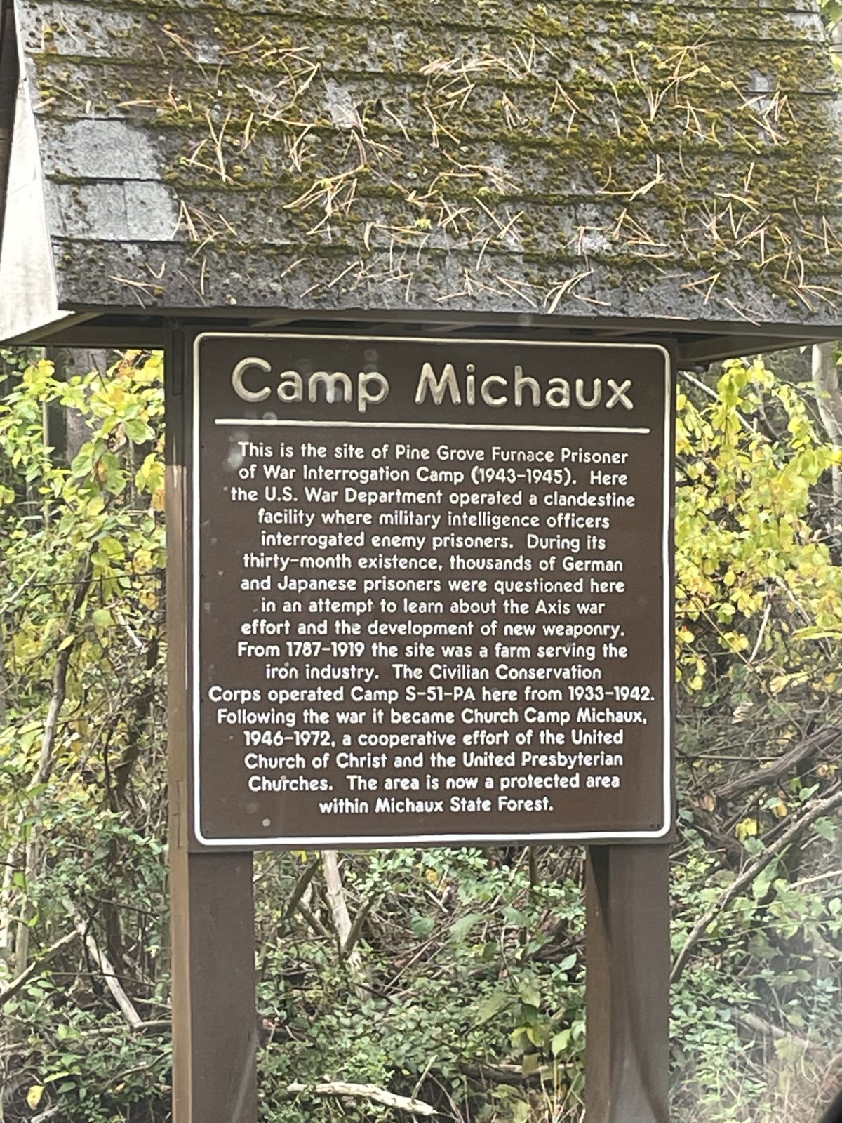 IMG_8624.jpg