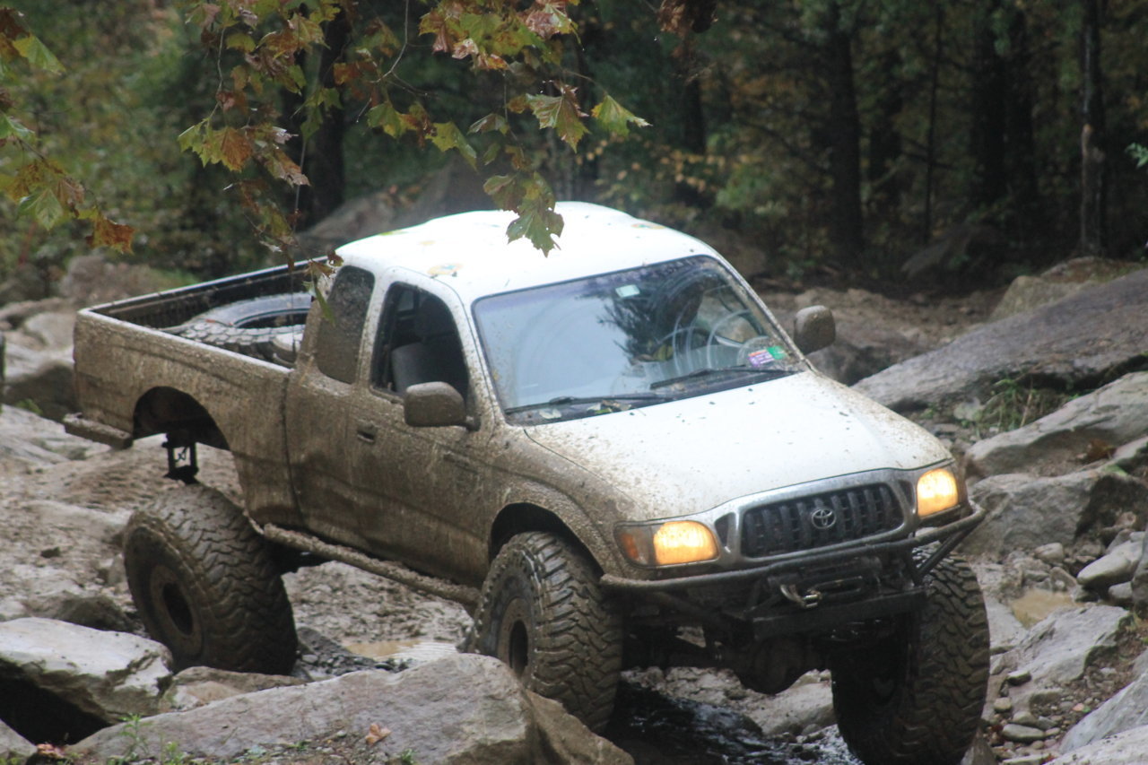 IMG_8631.jpg