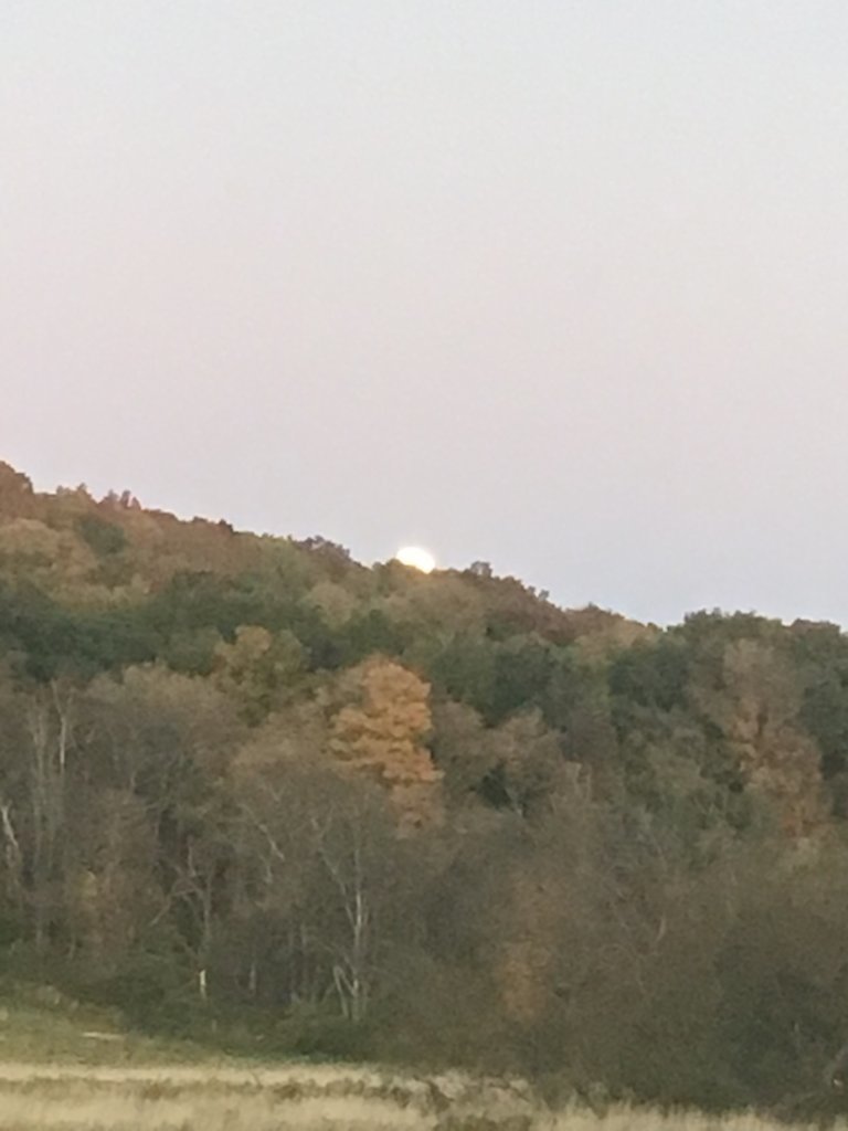 IMG_8646.jpg