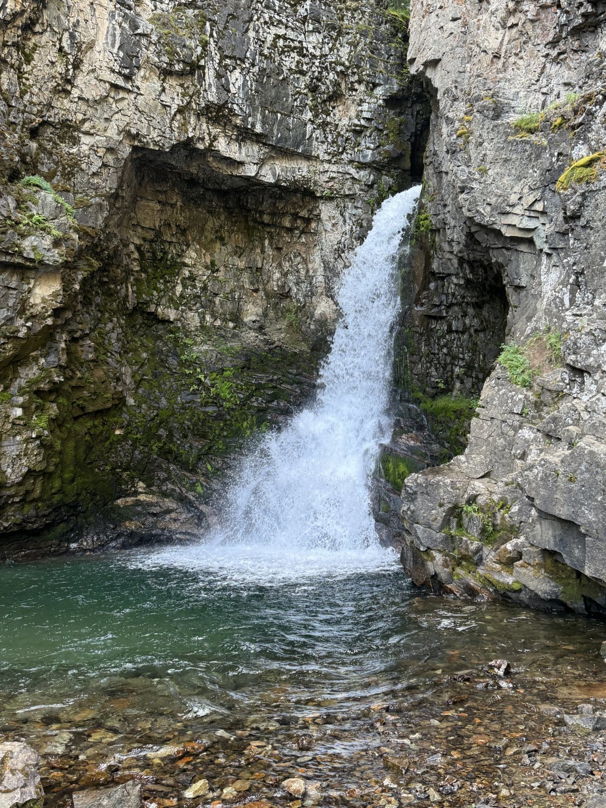 IMG_8656.jpg