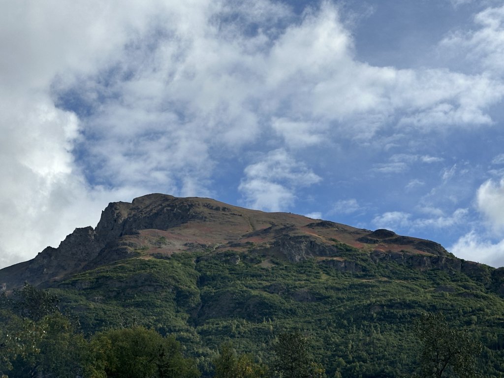 IMG_8708.jpg