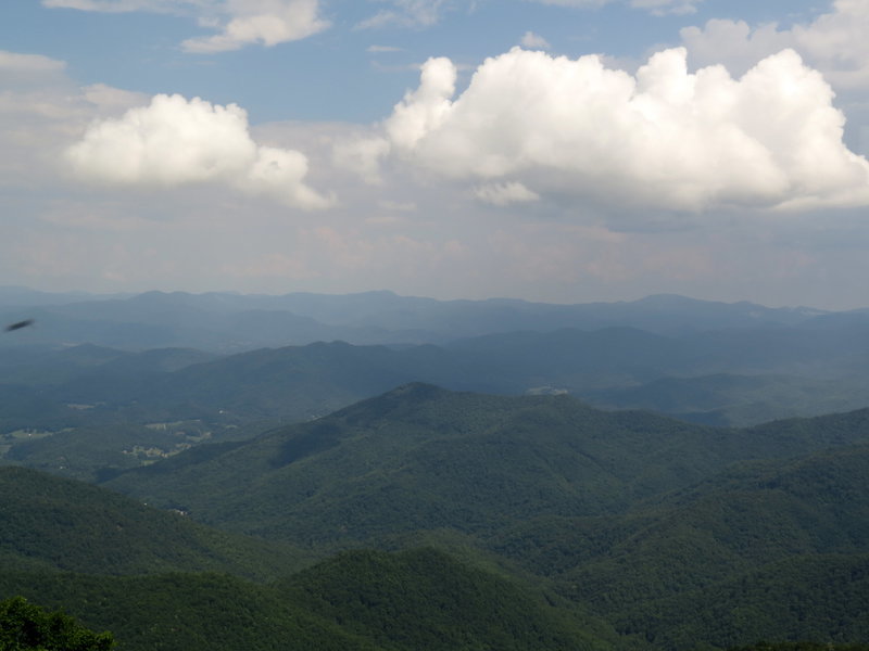 IMG_8746.jpg