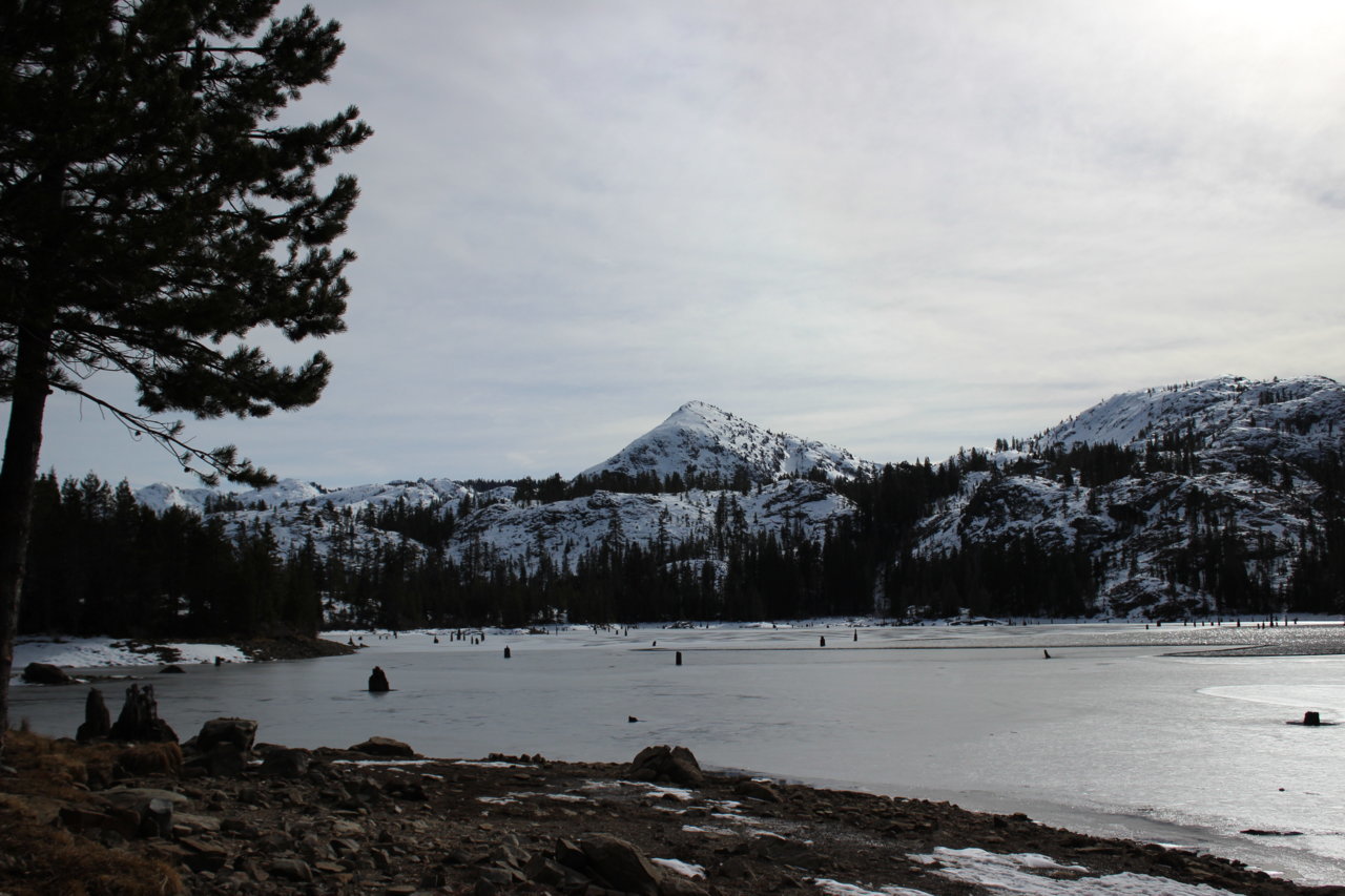 IMG_8768.jpg