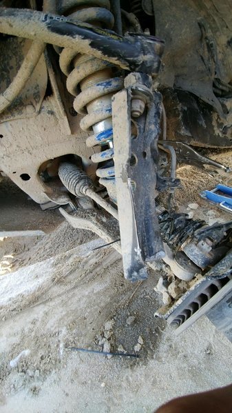 IMG_8833.jpg