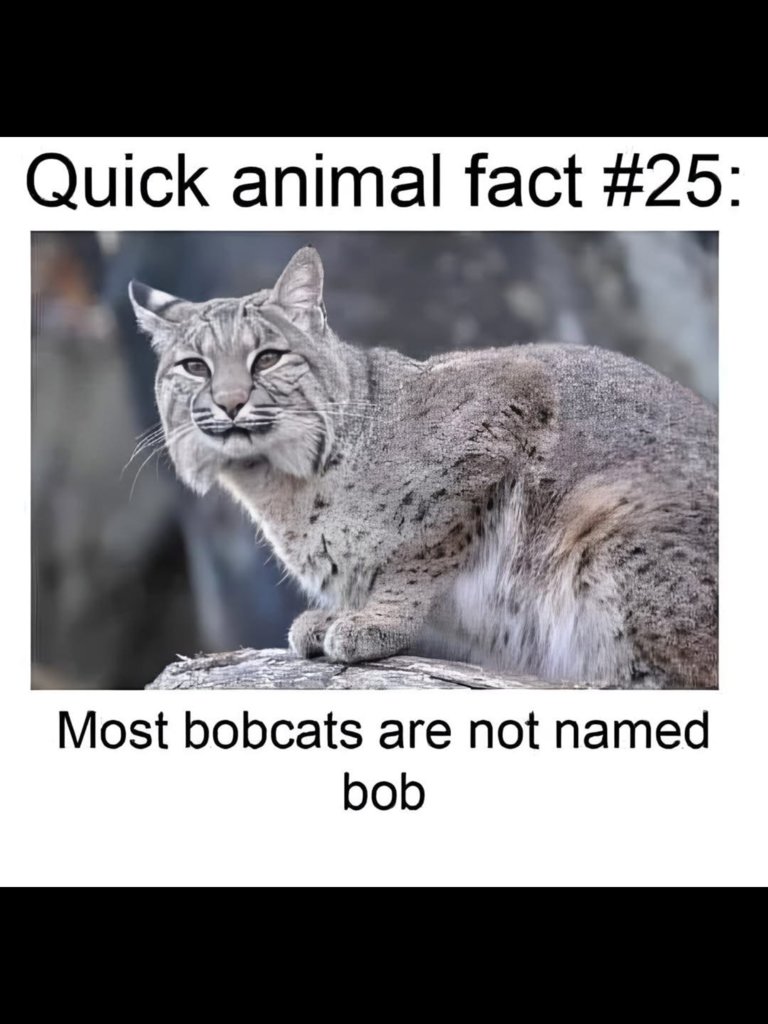 IMG_8858.png