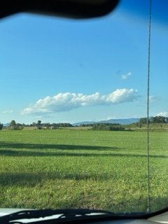 IMG_8896.jpg