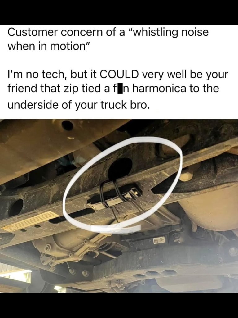 IMG_8903.png