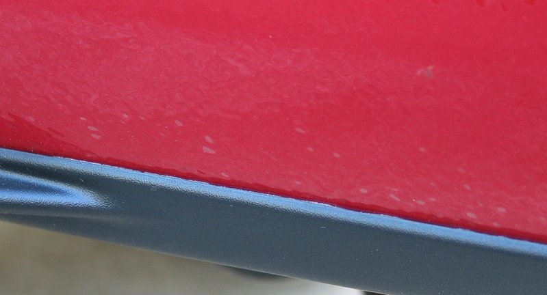 IMG_8908.jpg